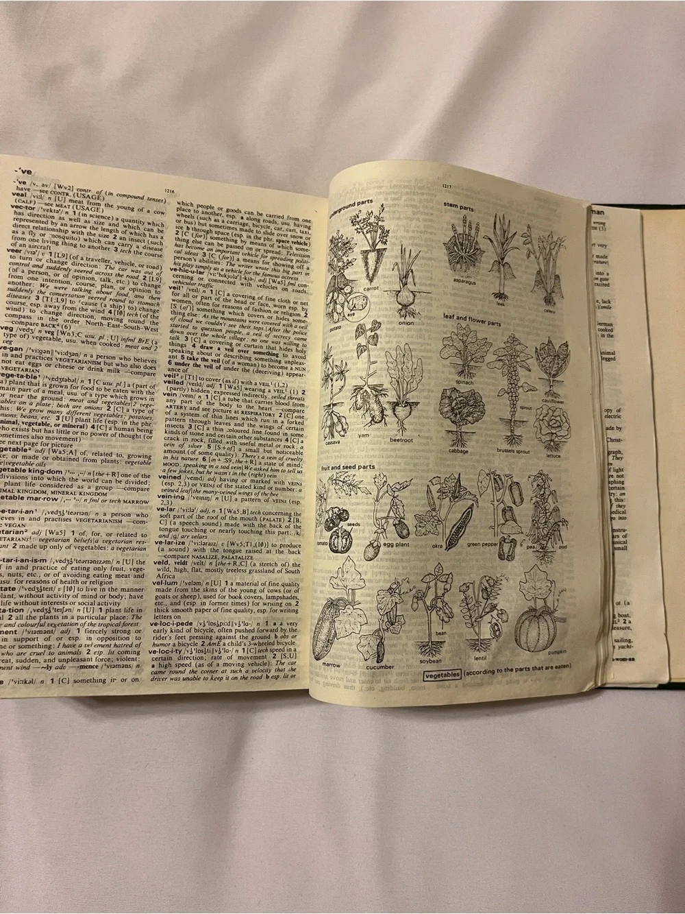 Longman Dictionary Of Contemporary English Green Vintage Book 📚